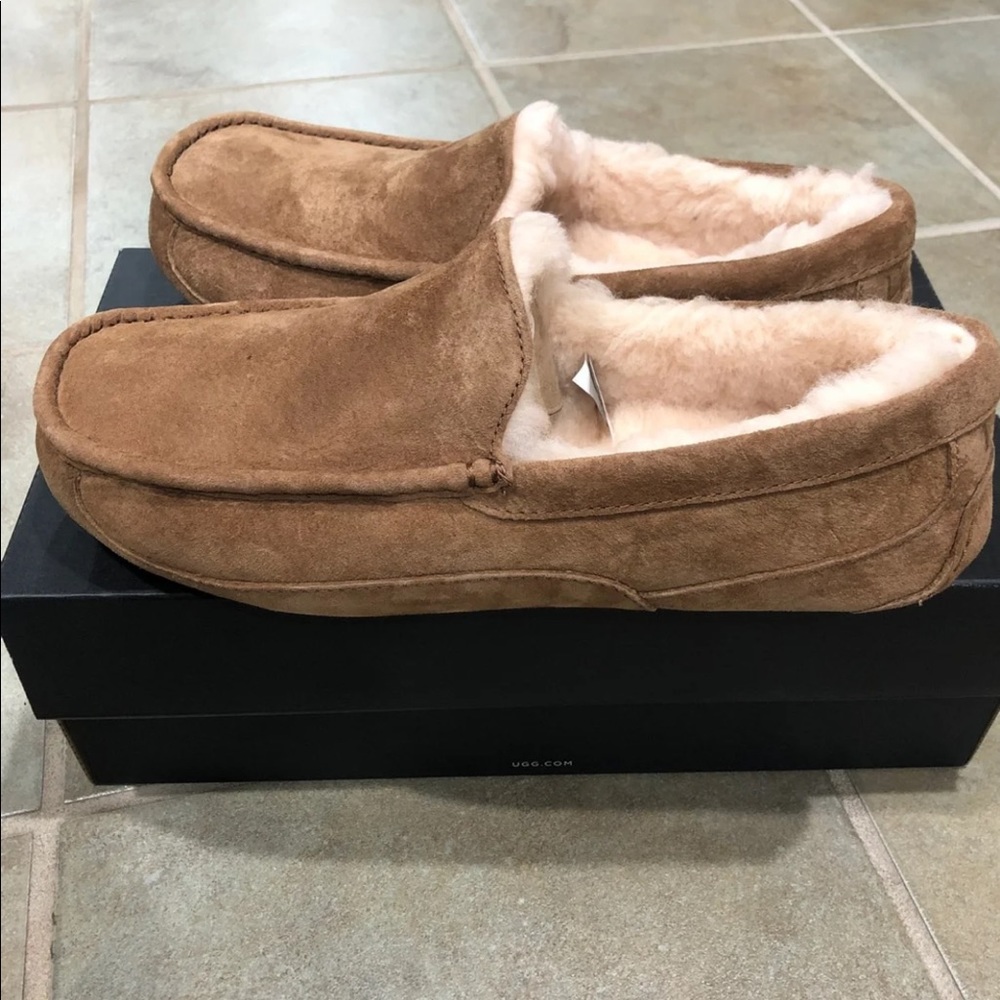 Men’s Chestnut Ascot